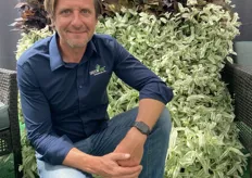 Jim Devereux CEO - , with the Tradescantia Pistachio White; a breeding of the next level. "This would be an excellent selection for monoculture in quarts through hanging baskets, as well an eye-popping combination item"